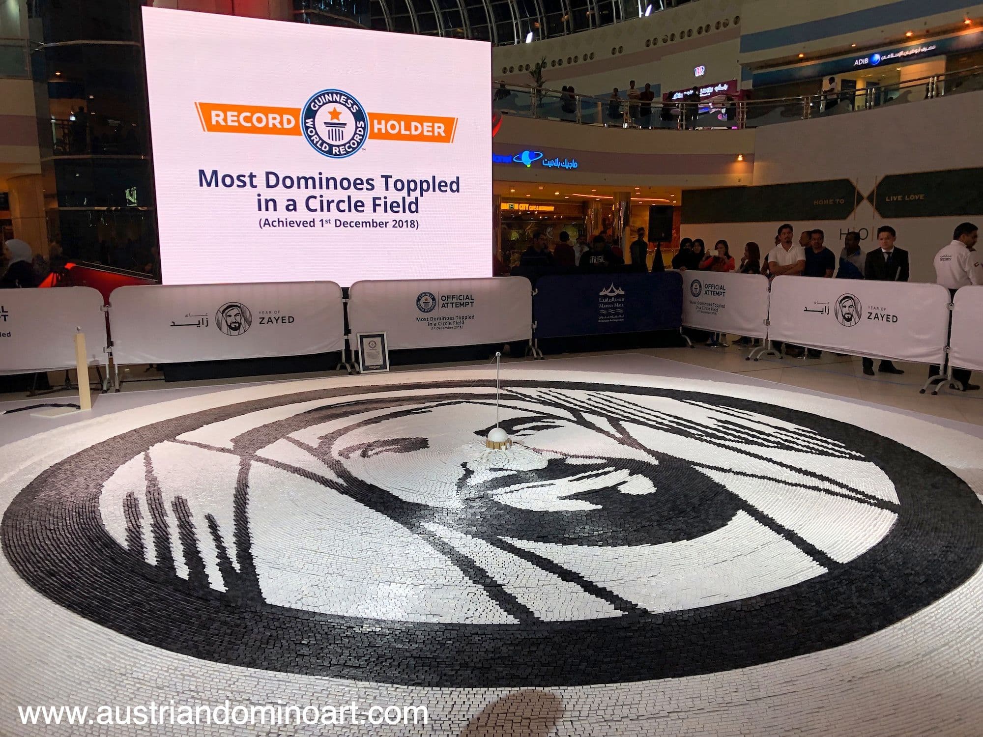 Image 5 of project UAE National Day #2