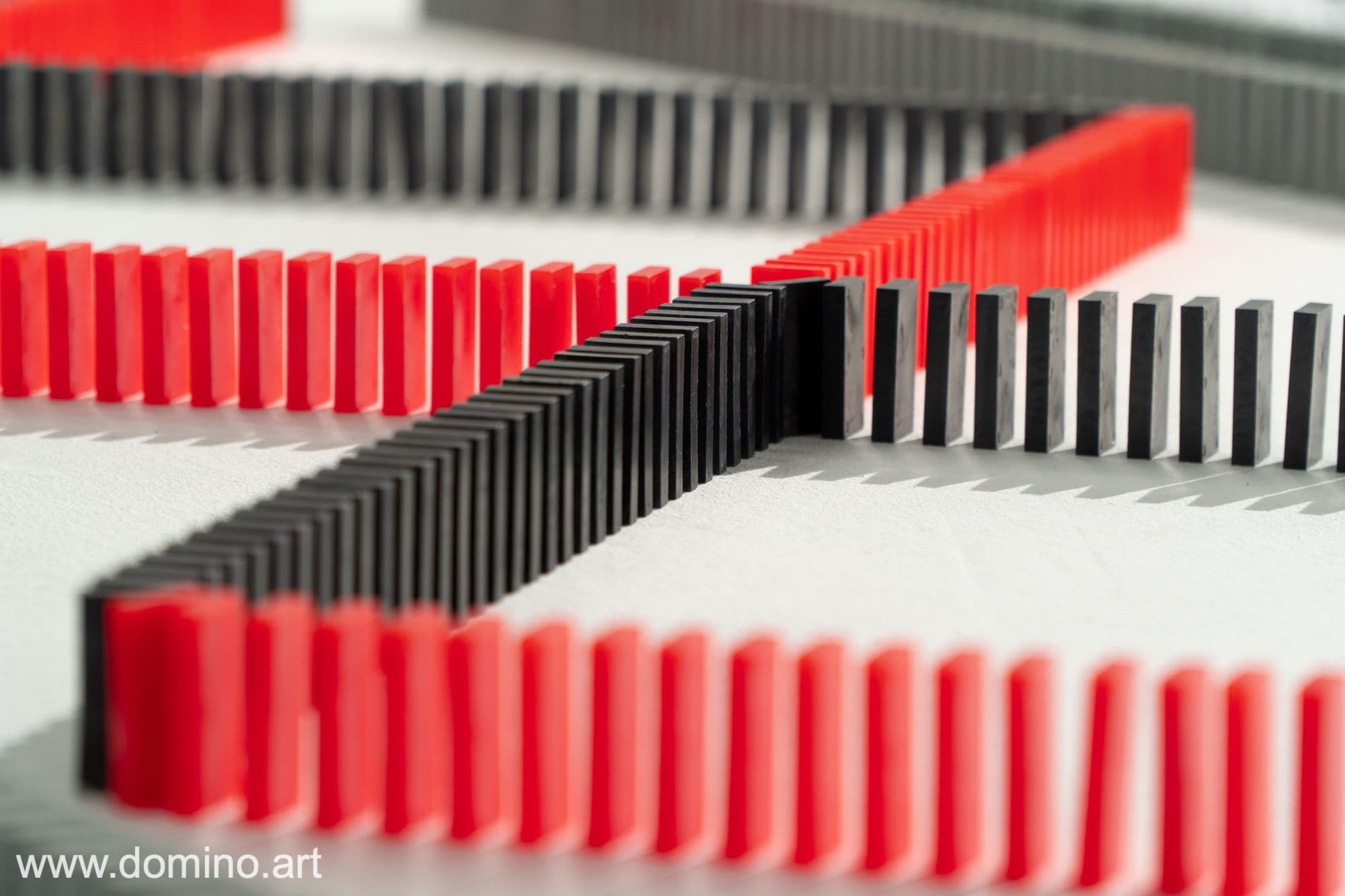 Image 2 of project DSEL Domino City