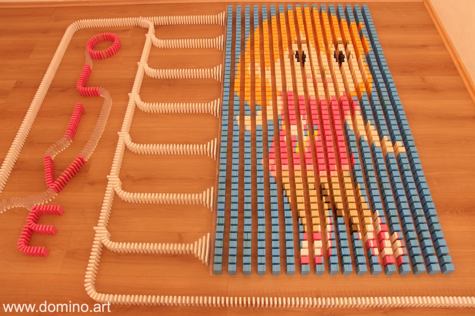 Image 36 of project Netflix Productions