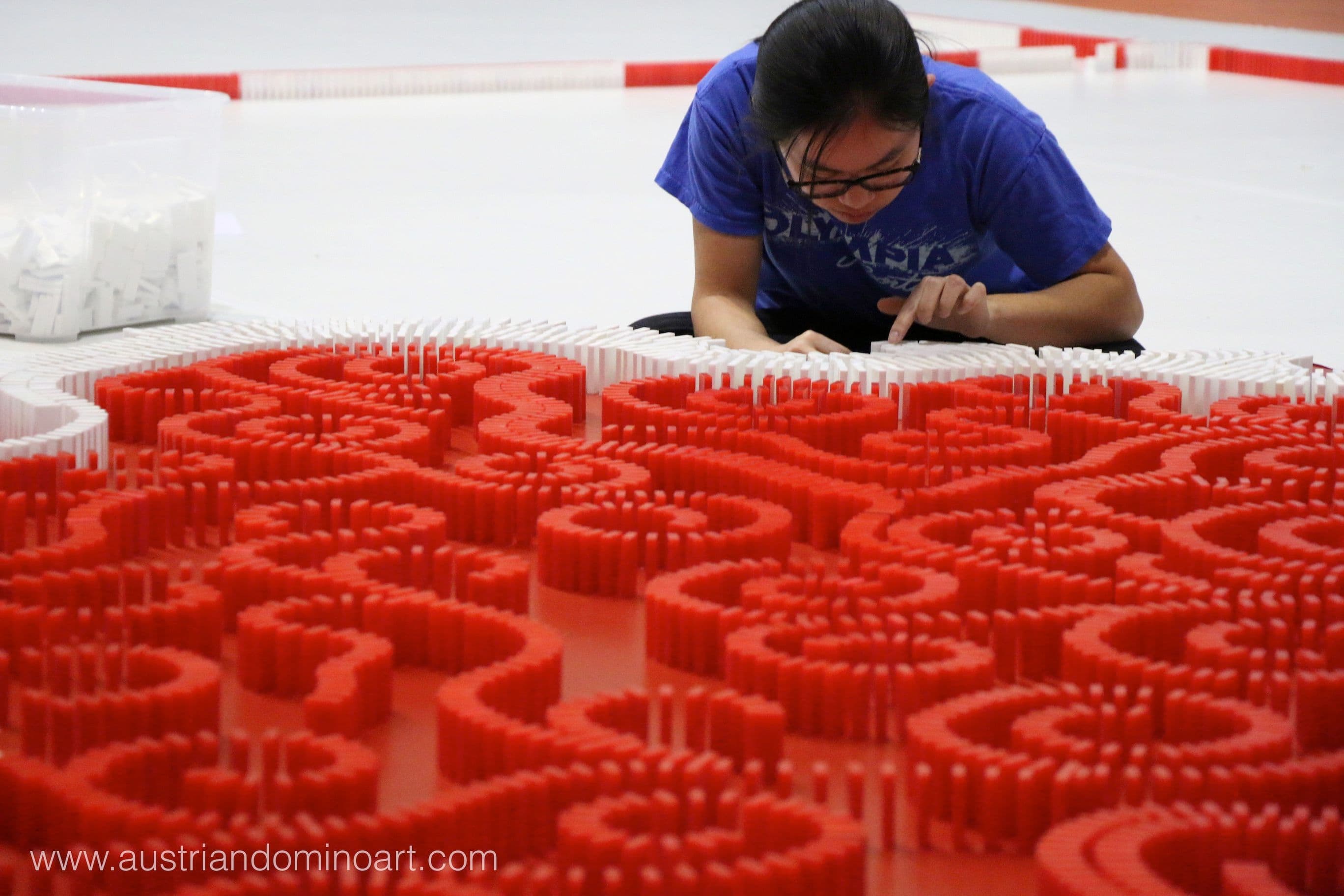 Image 6 of project Turkish Domino Record